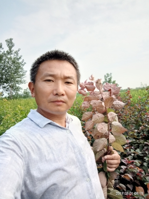 孩子爸的第一张照片--福州相亲网