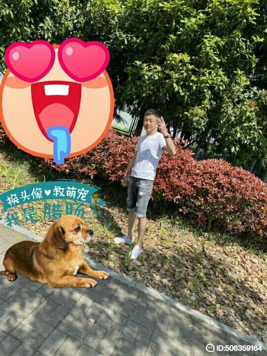 我若不坚强谁替我勇敢的第五张照片--福州相亲网
