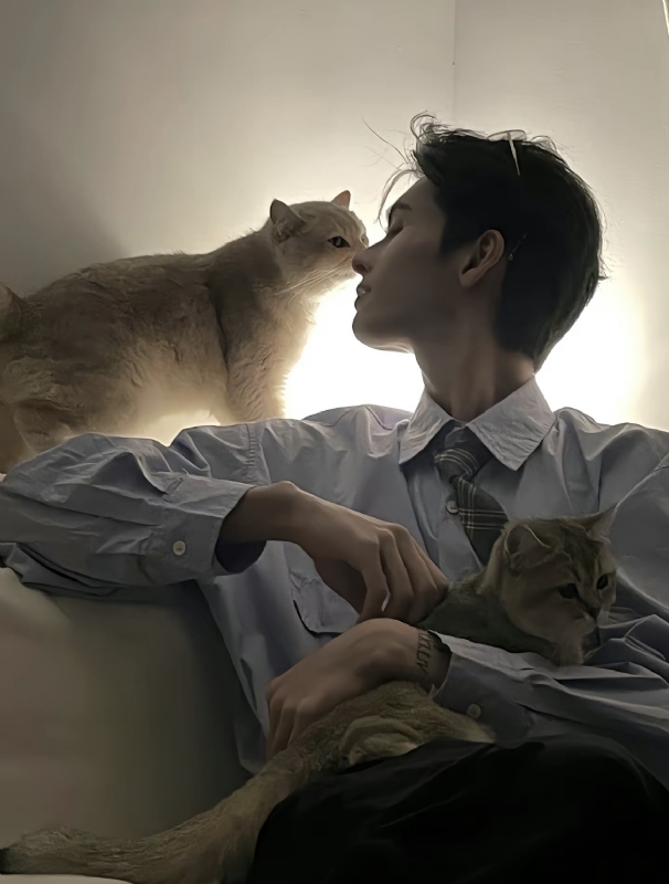怪猫的第一张照片--福州相亲网